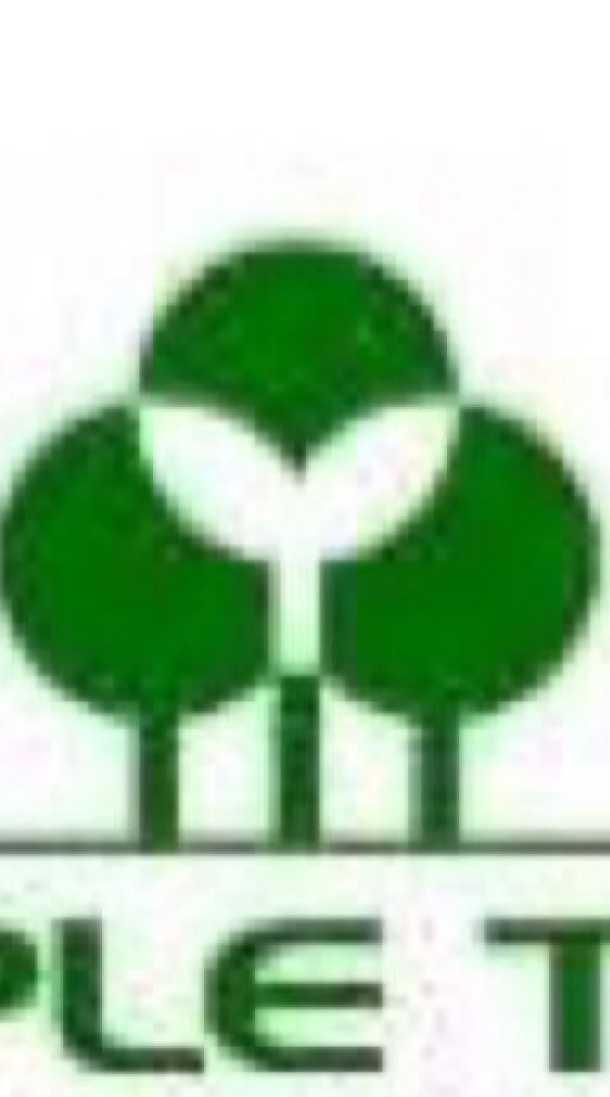 Triple Tree  ฝ่ายบุคคล