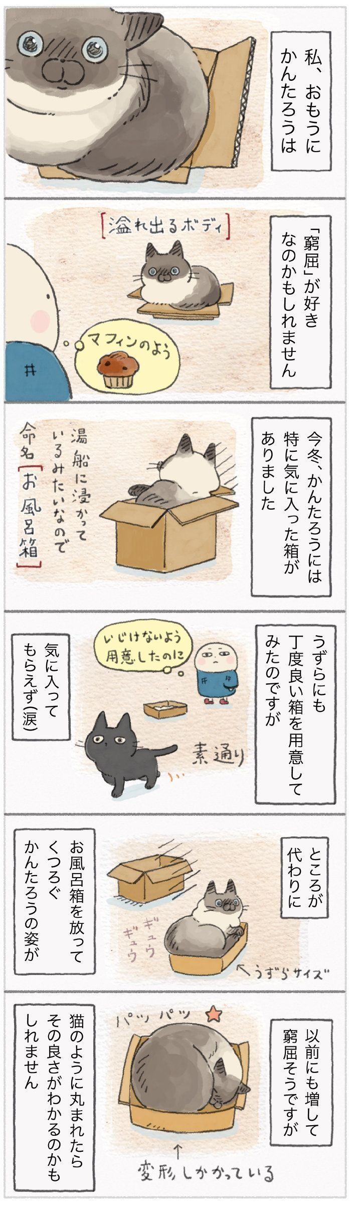 体調不良のサインかも 具合が悪そうな猫の眠り方とは