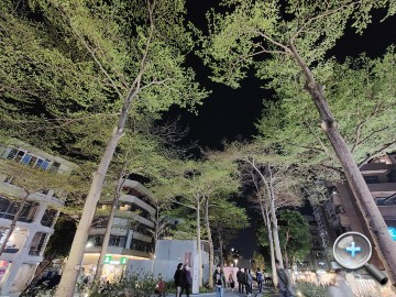 IMG20200315190752.jpg IMG20200315190752.jpg