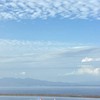 大分県病院協会