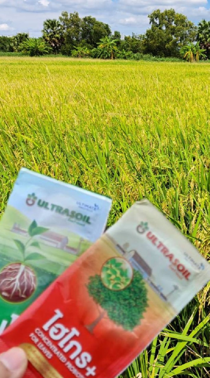 รีวิวผลลัพธ์ ของการเกษตร ไฮโกร และไบโอ