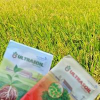 รีวิวผลลัพธ์ ของการเกษตร ไฮโกร และไบโอ
