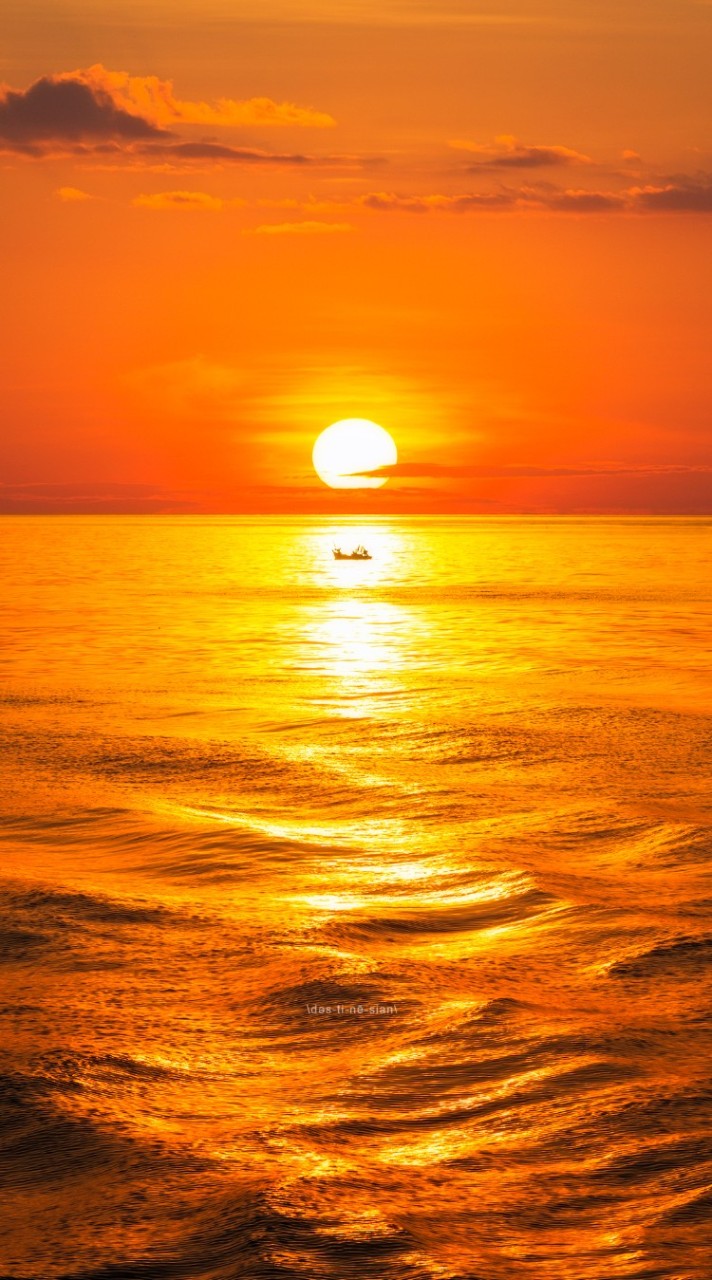 Sea U Around