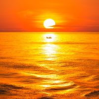 Sea U Around