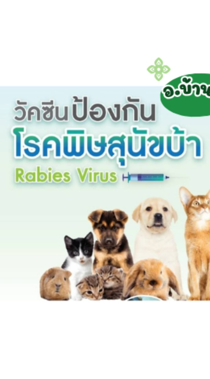 อาสาปศุสัตว์ พิษสุนัขบ้า อ.บ้านนา