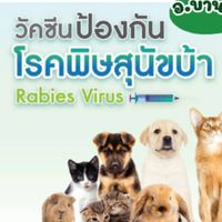 อาสาปศุสัตว์ พิษสุนัขบ้า อ.บ้านนา