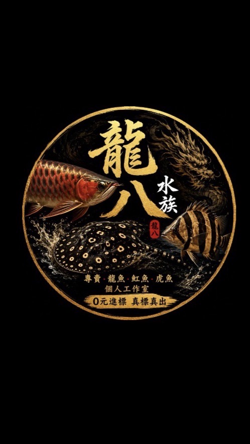 🐉 龍八水族 🐅