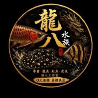 🐉 龍八水族 🐅
