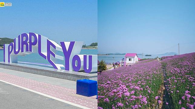 （封面圖源：IG@project_flower_、@jeonnam_officia、l）