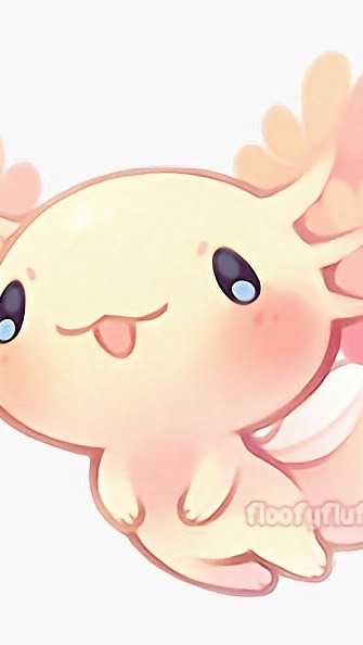 Axolotl
