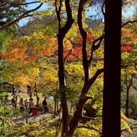60代～気ままに放浪