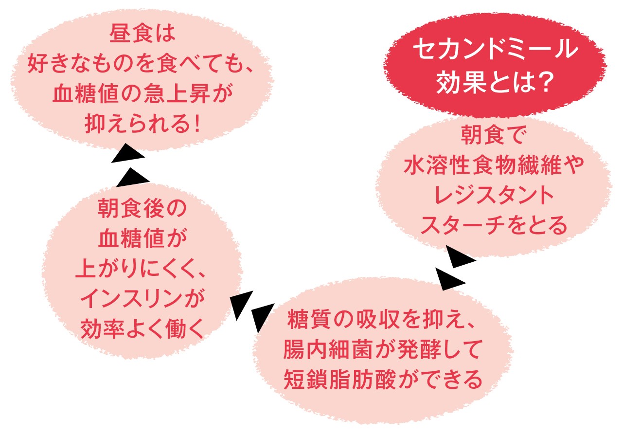 食物繊維をとるのに 一番いいタイミングはいつ 食物繊維の効率的なとり方