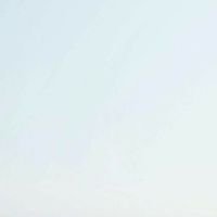 尾巴Misa粉絲聊天群