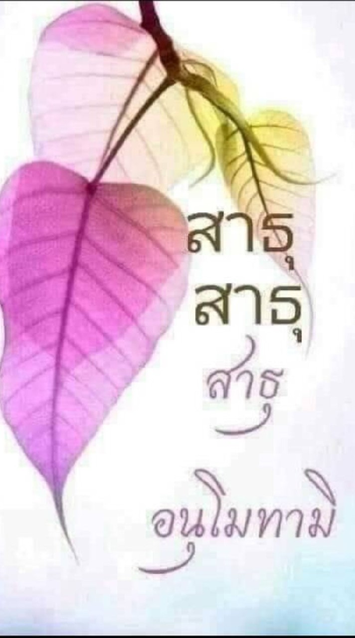 แชร์ๆๆ-คำคม/อบรม-เที่ยว-เพลง-15/54