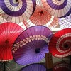 ポメラニアン将棋し隊