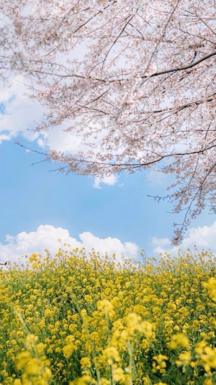 幸せを全て掴むために努力しましょう