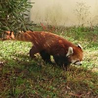 ドリタンモリモリ