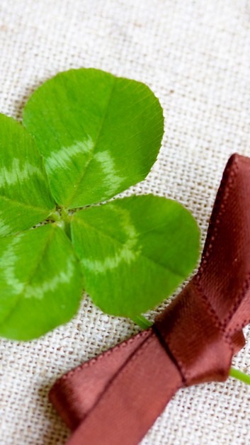 🍀孤独な女性限定🍀38歳〜の友達作り🤝友達募集🍀