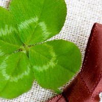 🍀孤独な女性限定🍀38歳〜の友達作り🤝友達募集🍀