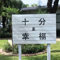 40+50+一攬芳華