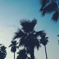 タイミングのみ🌈妊活　the自己流🐒