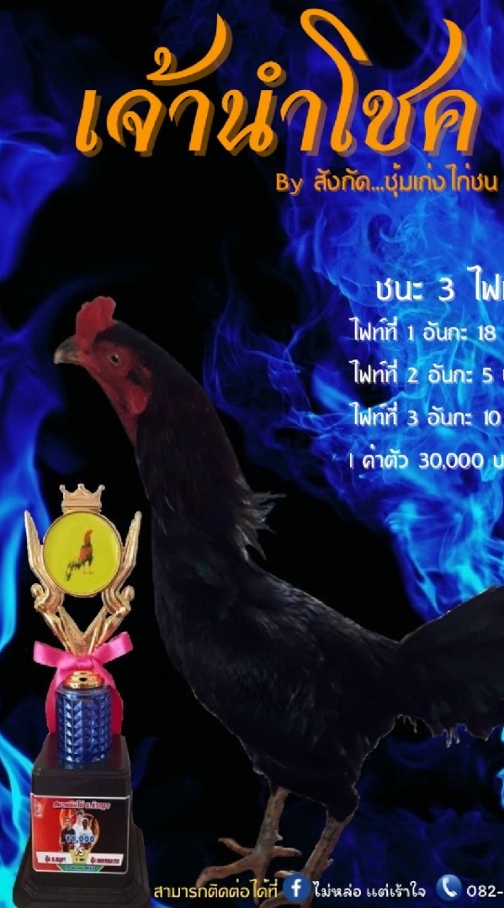 เก่งไก่ชน