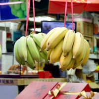 家鄉水果行