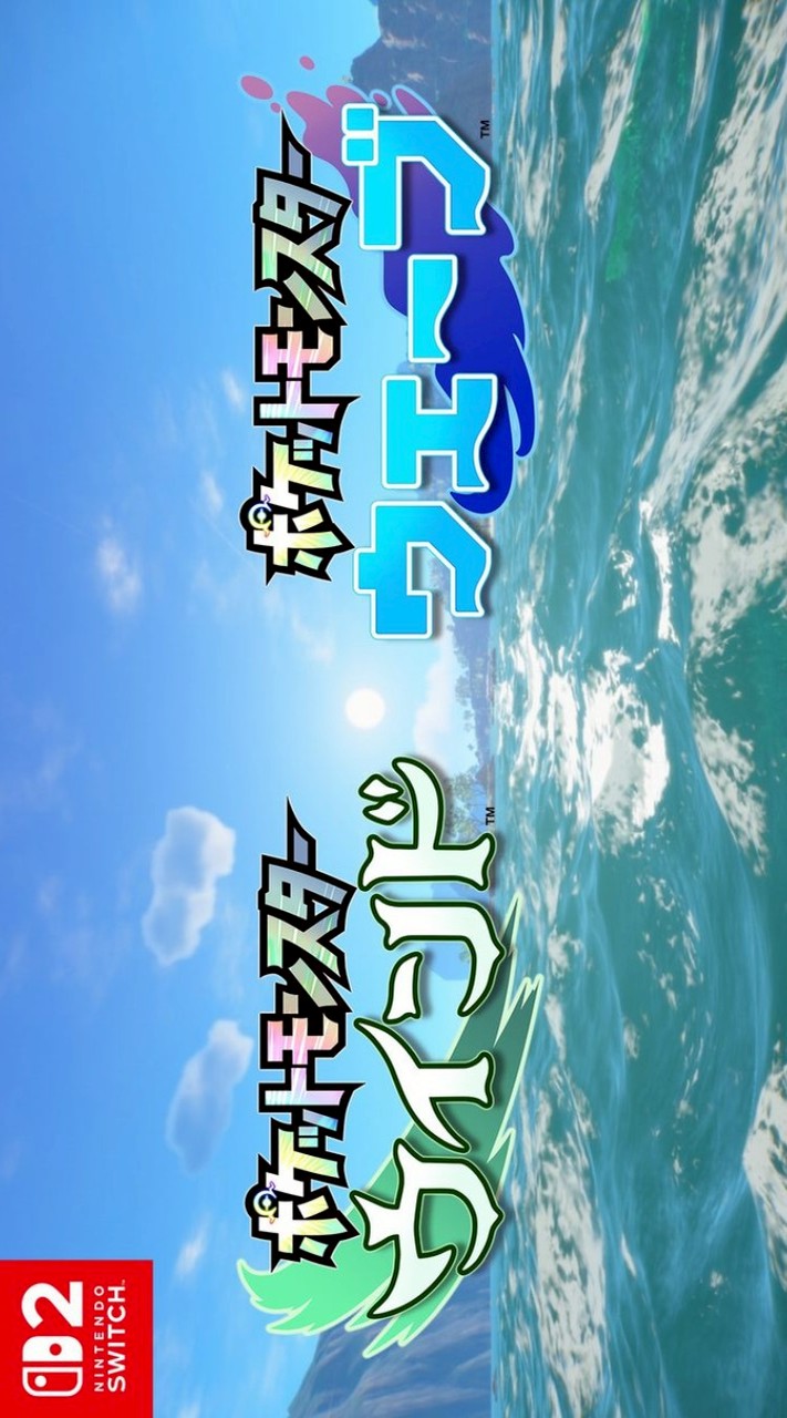 『ポケットモンスター ウインド・ウェーブ』総合オプ