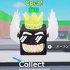 STEAL & goupブレインロット　　オプ