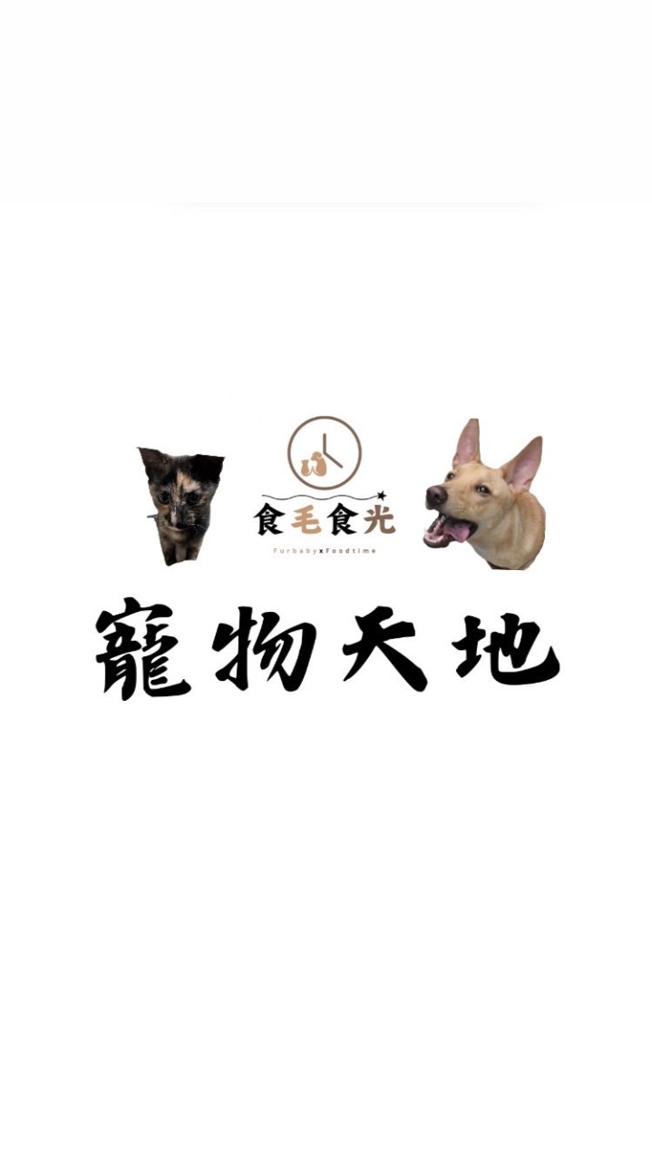 食毛食光寵物天地
