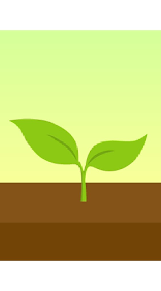 【App:Forest】17專注種樹🌲