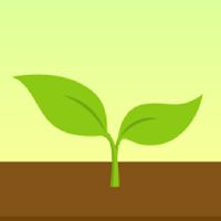 【App:Forest】17專注種樹🌲