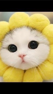 もふまると愉快な仲間たちのオープンチャット