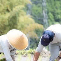 仲間と共にある里山しごと