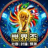 2026世界盃『天台糾察隊』