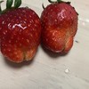 たった今