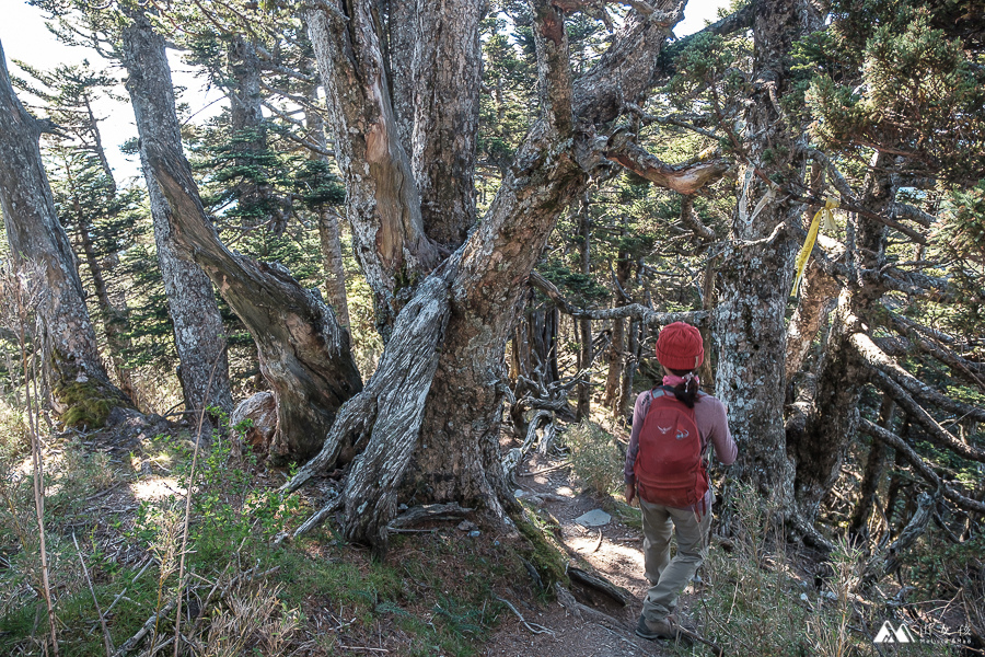 山女孩Melissa_南湖大山_陶塞峰-0621.jpg