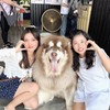 兩人旅遊