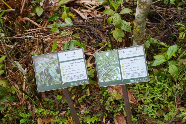 中部景點,南投景點,南投親子景點,國立自然科學博物館鳳凰谷鳥園生態園區,鳳凰谷鳥園,鳳凰谷鳥園生態園區