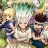Dr.STONE⌒⌒也‼️