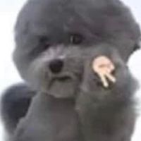 Isfp交流群