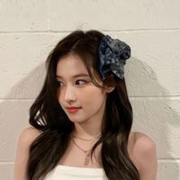 K-POP fandam