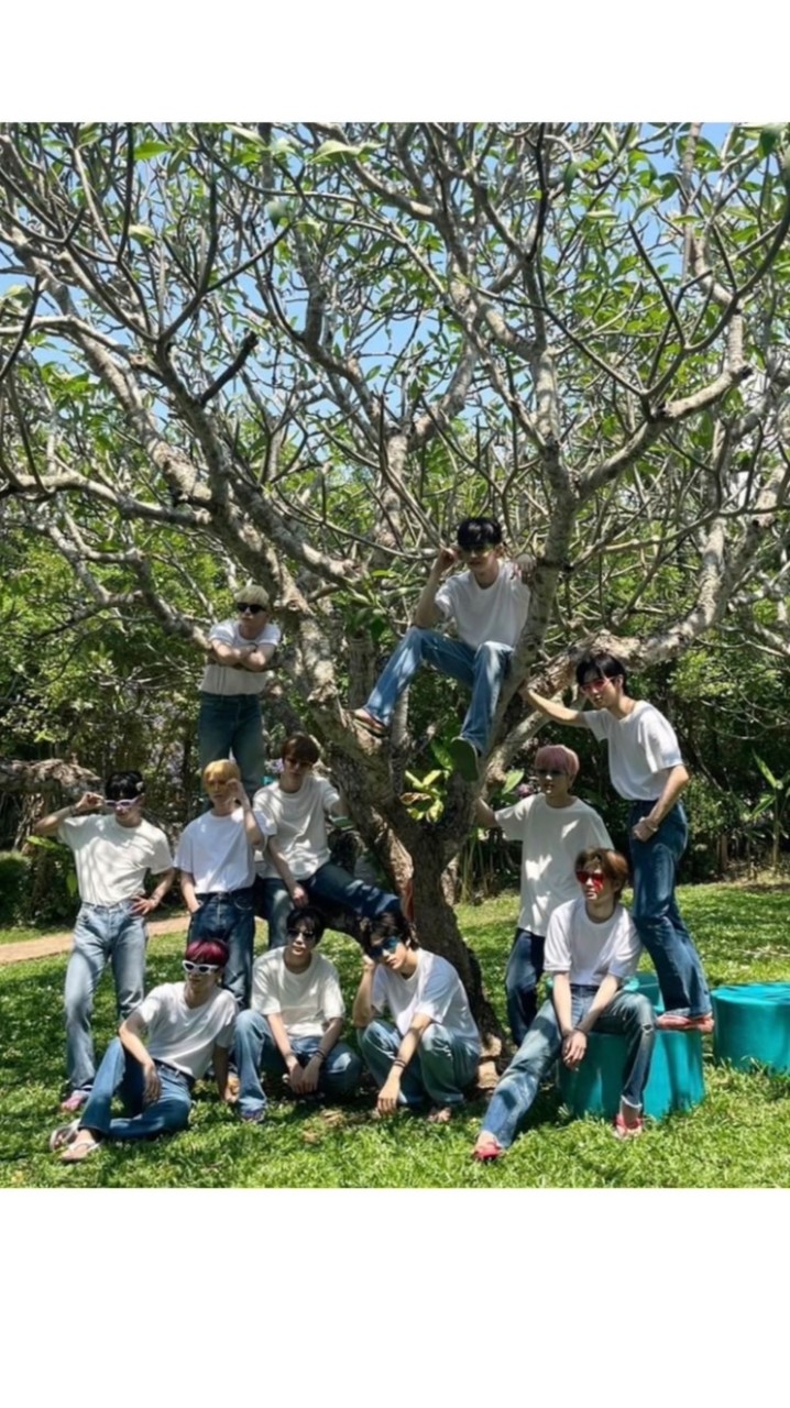 ini プラメ