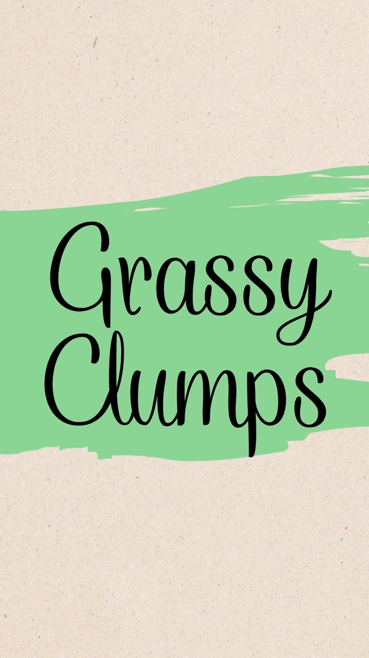 Grassy Clumps อัพเดทสินค้า