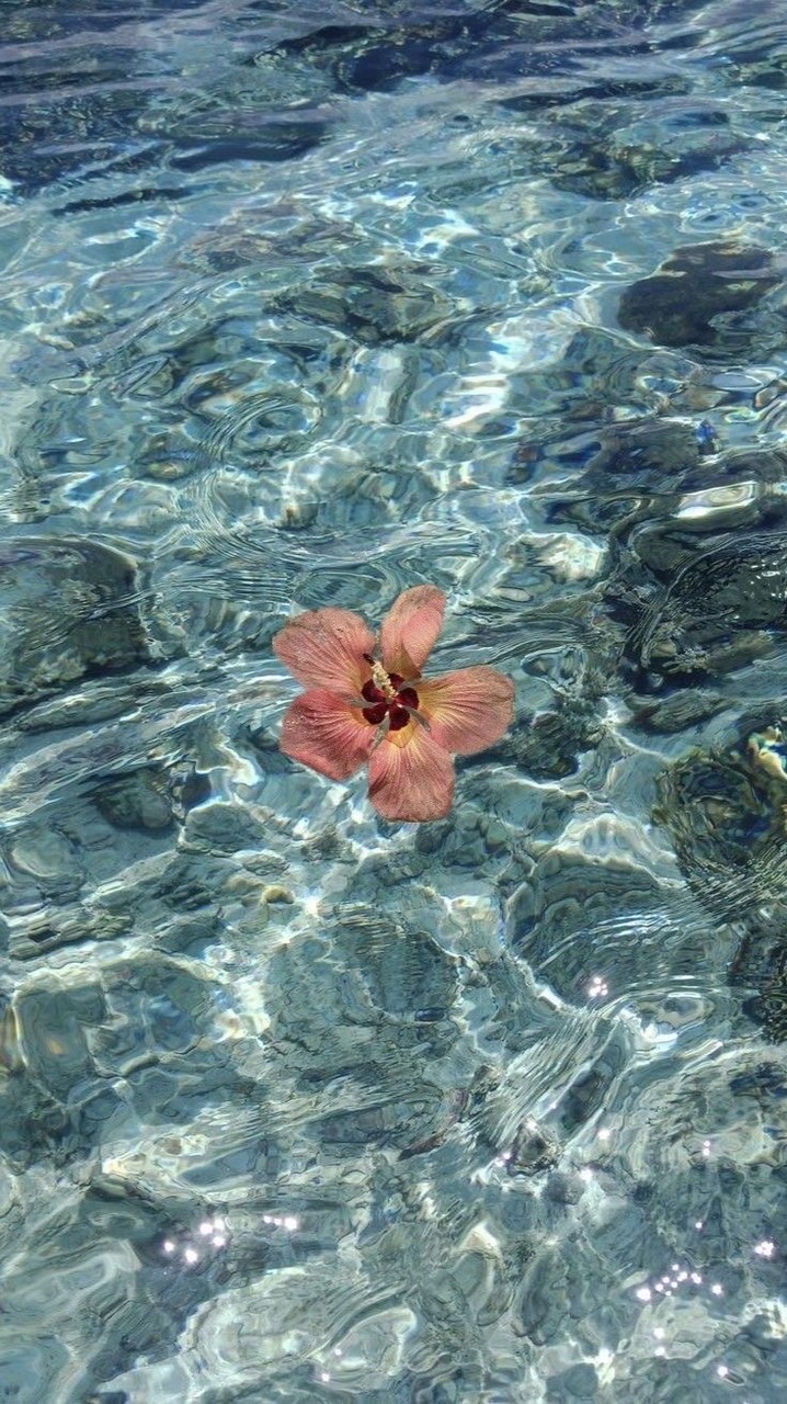 ᘏ ₊ 🎧ིྀ𐬹 da by songsaw ❀🐰 ࣪ ִֶָ ⋆