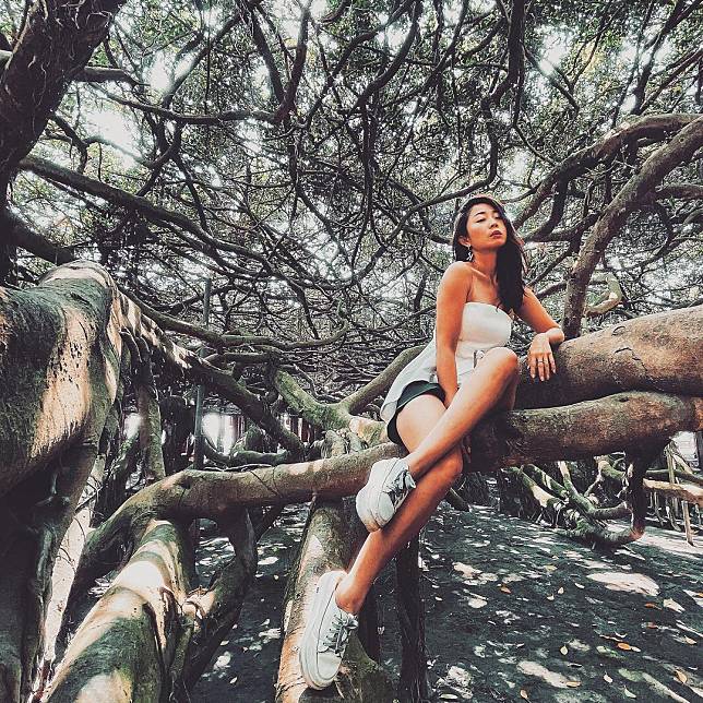 ▲彰化竹塘九龍大榕公。(圖/IG ＠yin.k.1119_)