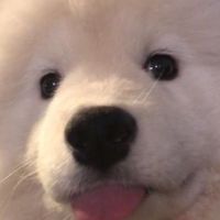 กลุ่มรูป / คลิป 𝗕𝘆.𝗔𝗼𝗲𝘆
