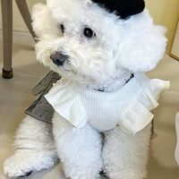 Yibibaby依比寶寶