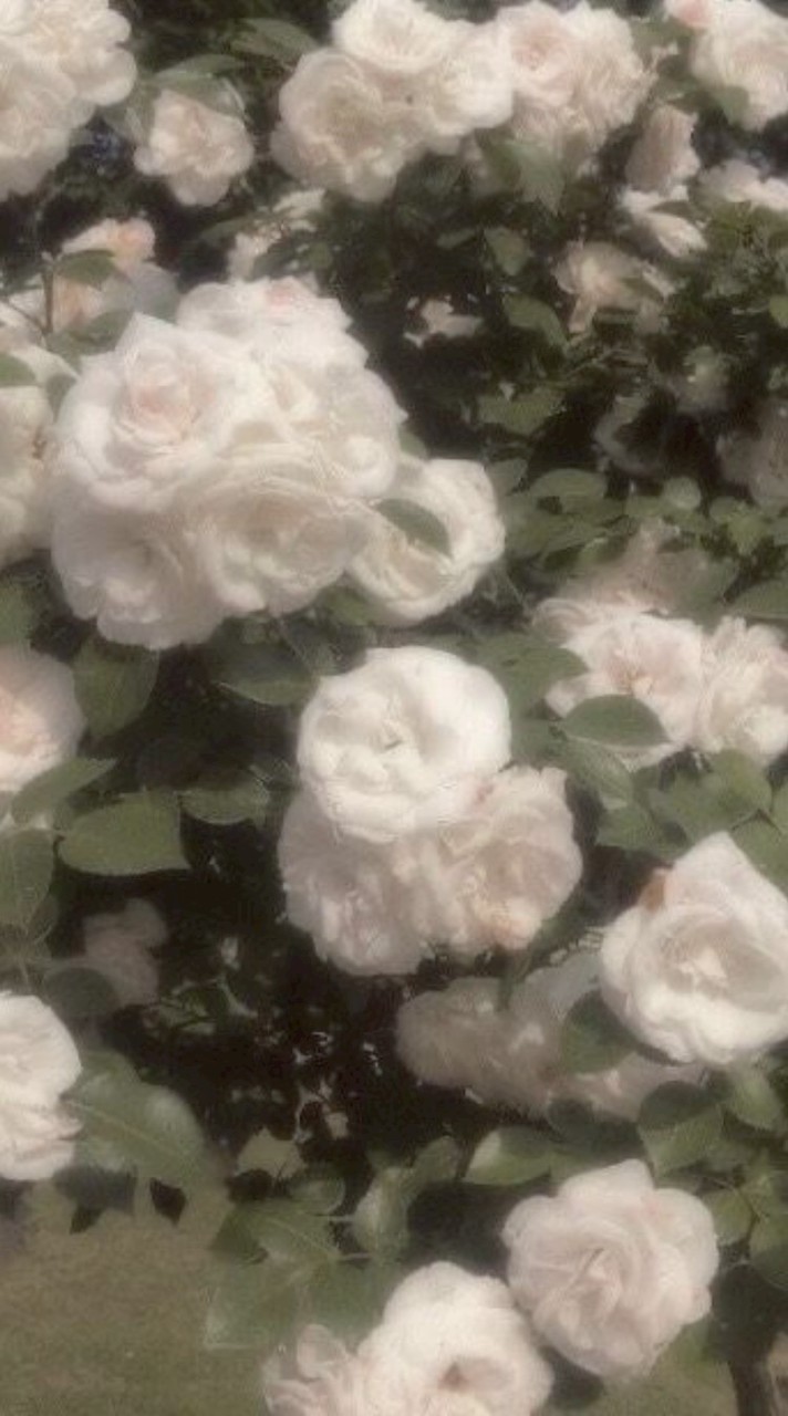 家庭教師ト問題児ノ関係