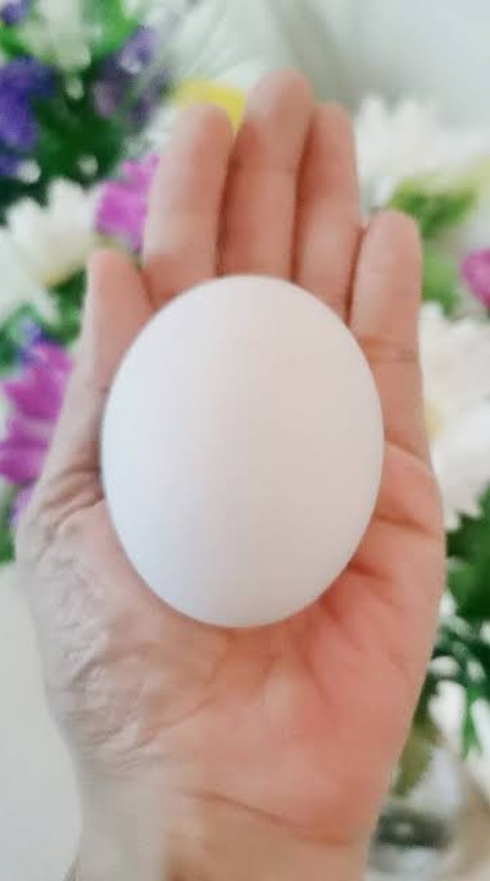 สั่งไข่​ บ่าว-แหย้